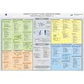 Capability Maturity Model Integration (CMMI) f�r Entwicklung, Version 1.3: CMMI v1.3 f�r die Entwicklung