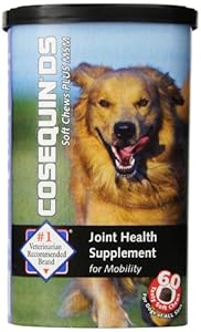 Nutramax Cosequin Soft Chews Plus MSM Joint Health Supplement Chews - 60 Count