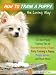 How to Train a Puppy the Loving Way - The Best Puppy Training Tips for Housebreaking a Puppy, Potty Training a Puppy, Puppy Games, and Much More - Limited Discount Edition
