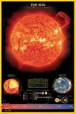 The Sun Poster (#131)