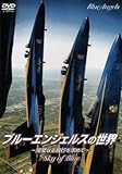 ブルーエンジェルスの世界~完璧なる飛行を求めて~ [DVD]