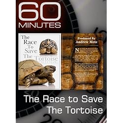 60 Minutes - The Race to Save the Tortoise