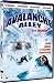 Avalanche alley [FR Import]
