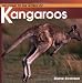 Kangaroos (Welcome to the World Series)