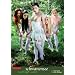 Schwanensee: Erotisches Bilderbuch: Erotisches M�rchenbuch