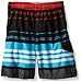 Kanu Surf Boys' Toddler Halo Stripe Swim Trunks