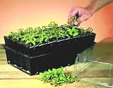Deep Root Planting Seed Tray