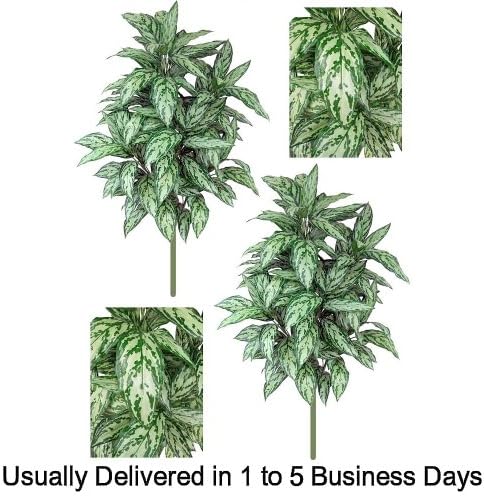 SPJPLANTS Box of Two Silk Artifical 4 foot 8 inch Silver Queen Plants each with 127 leaves