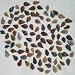 Set Of 100 Arrowheads Agate New Replica 1/2