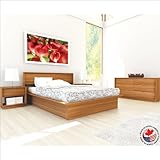 IMAGE OF Sonax Manning Contemporary Enternity Walnut Queen Bed 4 Piece Set