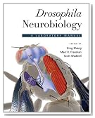 Drosophila Neurobiology: A Laboratory Manual