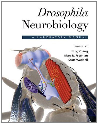 Drosophila Neurobiology: A Laboratory Manual