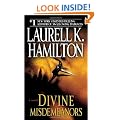 Divine Misdemeanors: A Novel