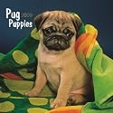 Pug Puppies 2009 7X7 Mini Wall Calendar