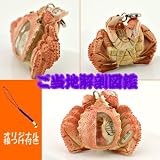 ご当地解剖図鑑根付(毛蟹)No.4