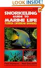 Snorkeling Guide to...