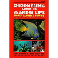 Snorkeling Guide to Marine Life: Florida, Caribbean, Bahamas