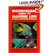 Snorkeling Guide to Marine Life: Florida Caribbean Bahamas
