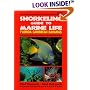 Snorkeling Guide to Marine Life: Florida Caribbean Bahamas