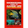 Snorkeling Guide to Marine Life: Florida, Caribbean, Bahamas