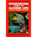 Snorkeling Guide to Marine Life: Florida, Caribbean, Bahamas
