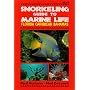 Snorkeling Guide to Marine Life: Florida, Caribbean, Bahamas
