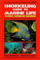 Snorkeling Guide to Marine Life: Florida Caribbean Bahamas