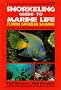 Snorkeling Guide to Marine Life: Florida, Caribbean, Bahamas
