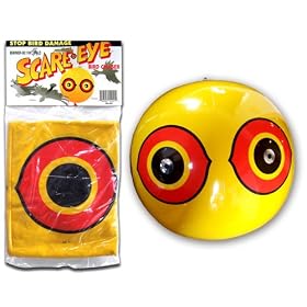Bird-X SE-Y Scare Eye Balloon, Yellow