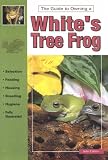 White's Tree Frogs