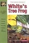 Whites Tree Frogs