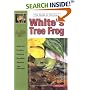 White's Tree Frogs