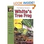 The Guide to Owning White's Tree Frog
