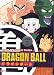 Dragon Ball: King Piccolo Saga, Vol. 1
