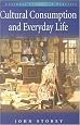 Cultural Consumption and Everyday life (Cultural Studies in Practice)