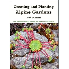 Creating And Planting Alpine Gardens: How To Build Small Rock Gardens And Work With Alpine Plants