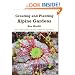 Creating And Planting Alpine Gardens: How To Build Small Rock Gardens And Work With Alpine Plants
