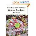 Creating And Planting Alpine Gardens: How To Build Small Rock Gardens And Work With Alpine Plants
