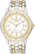 Citizen Men's Riega...