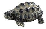 BULLY 63554 Landschildkröten-Junges