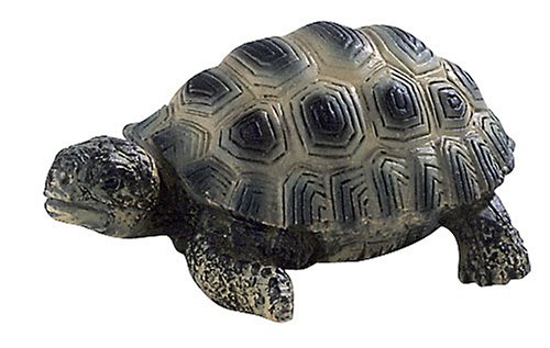 BULLY 63554 Landschildkröten-Junges