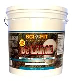 Scifit Be Large Ice Cream, Chocolate, 10-Pound Tub