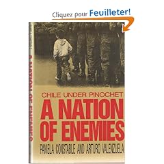 A Nation of Enemies: Chile Under Pinochet