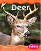 Deer (Pebble Books)