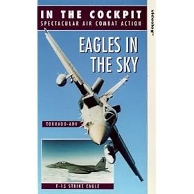 In The Cockpit - Eagles In The Sky