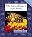 Books : Ants, Bees, and Wasps of North America (Animals in Order)
