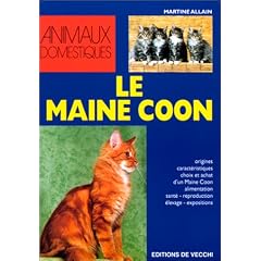 Le Maine Coon
