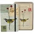 Birds and nests combination set: elastic bound notebook and carte postale set of 18 different postcards