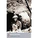 The Great War : History and Memory