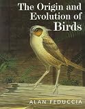 The Origin And Evolution Of Birds